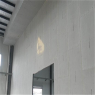 满城新型建筑材料掺多种工业废渣的ALC|ACC|FPS模块板材轻质隔墙板